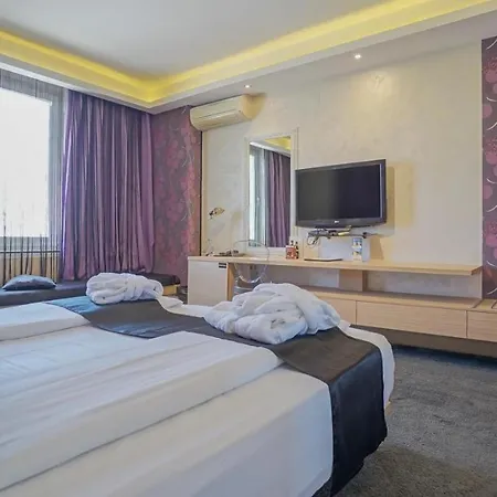 Z Executive Boutique Hotel 4*