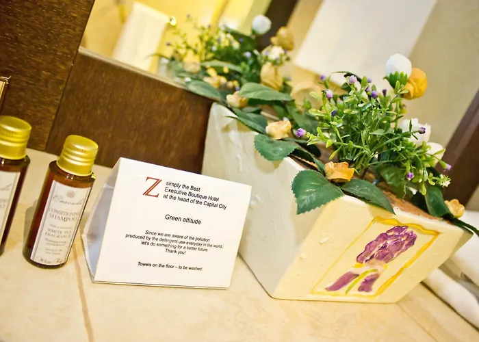 Z Executive Boutique Bukareszt
