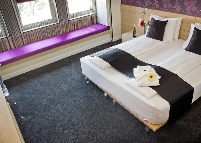 Z Executive Boutique 4* בוקרשט